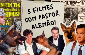 op 5 Filmes Estrelados por Pastores Alemães para uma Maratona Canina Inesquecível!